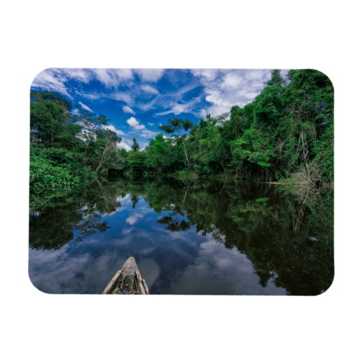 Bos | Oerwoud van Peru Magneet (Horizontaal)