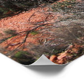 Bos op Cathedral Rock Poster (Hoek)