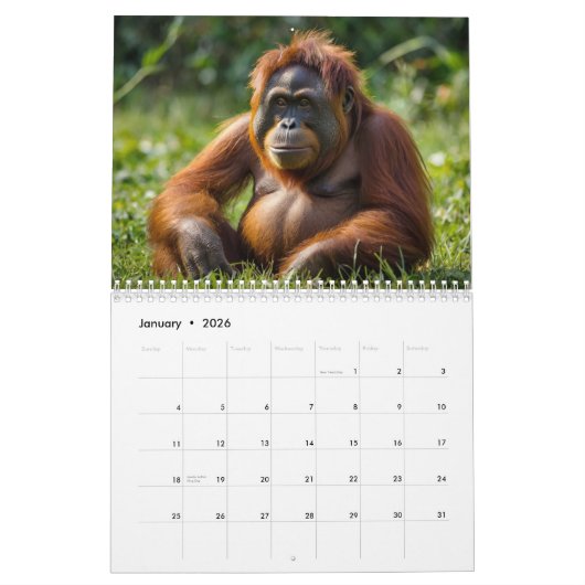 bos-orang-oetan kalender (Jan 2026)