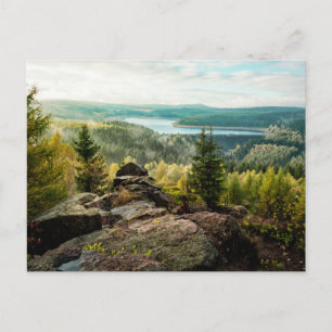 Bos Ore Mountains Duitsland Briefkaart