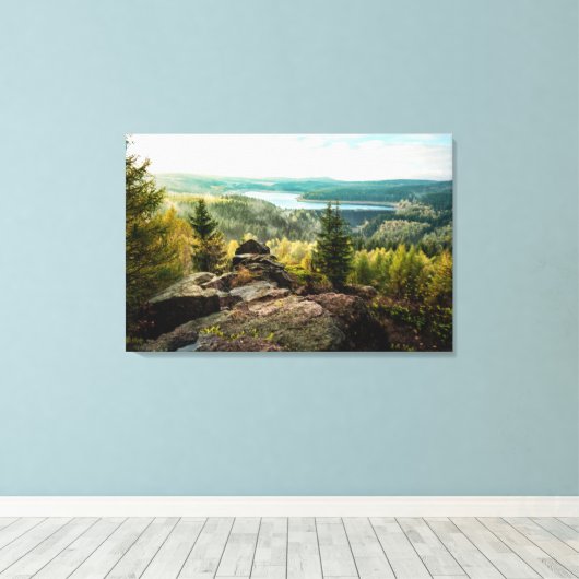 Bos | Ore Mountains Duitsland Canvas Afdruk (Insitu (Houten vloer))
