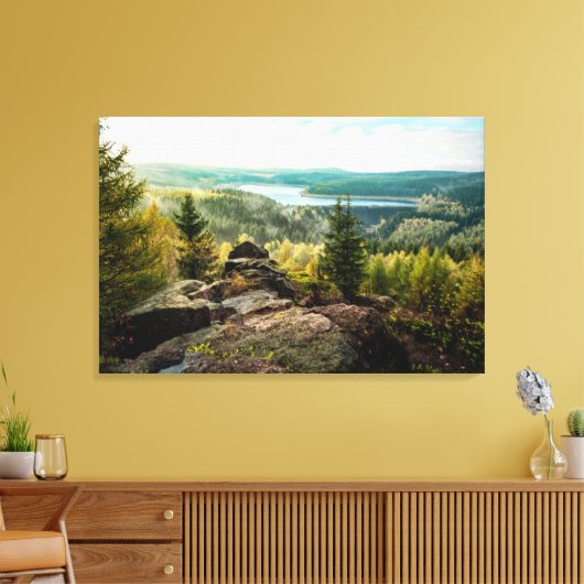 Bos | Ore Mountains Duitsland Canvas Afdruk (Insitu (Woonkamer))
