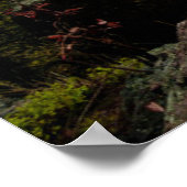 Bos | Ore Mountains Duitsland Poster (Hoek)