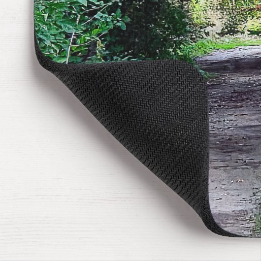 Bos overkapping over een vuil pad muismat (Hoek)