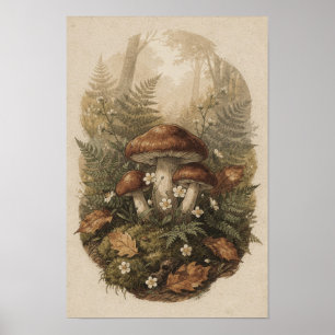 Bos Paddenstoel Bos Botanische Varens Poster