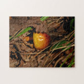 Bos Paddenstoel Legpuzzel (Horizontaal)