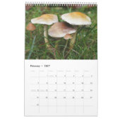 Bos Paddenstoelen Kalender (Feb 2027)
