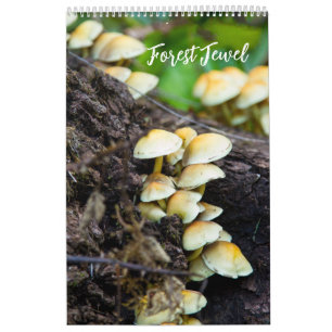 Bos Paddenstoelen Kalender