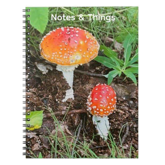 Bos Paddenstoelen Notitieboek (Voorkant)