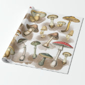 bos paddenstoelen Wrappen Cadeaupapier (Uitgerold)