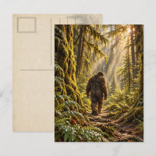 Bos Paden Bigfoot Ansichtkaart Briefkaart