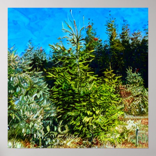 BOS POSTER (Voorkant)