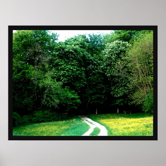 Bos Poster (Voorkant)