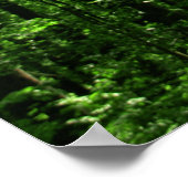 Bos Poster #6182 (Hoek)