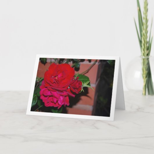 Bos rode rozen kaart (Voorkant)