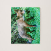 Bos Rode Vos Jongdier Kalm Natuurlijk Mos Omgeving Legpuzzel (Verticaal)