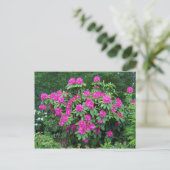 Bos Rododendron Briefkaart (Staand voorkant)