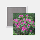 Bos Rododendron Magneet (Voorkant / Achterkant)