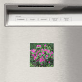 Bos Rododendron Magneet (Insitu (Vaatwasser))