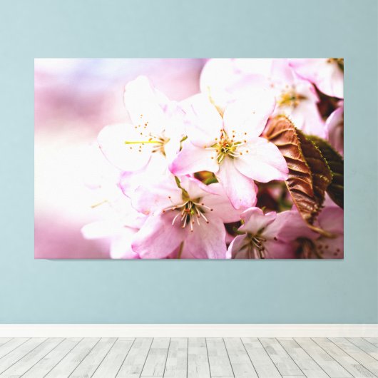 Bos roze Sakura tegen een roze achtergrond Canvas Afdruk (Insitu (Houten vloer))