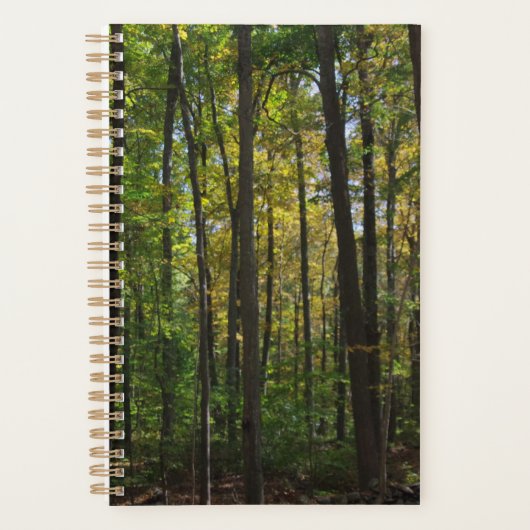 Bos Scène Planner (Voorkant)