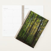 Bos Scène Planner (Display)