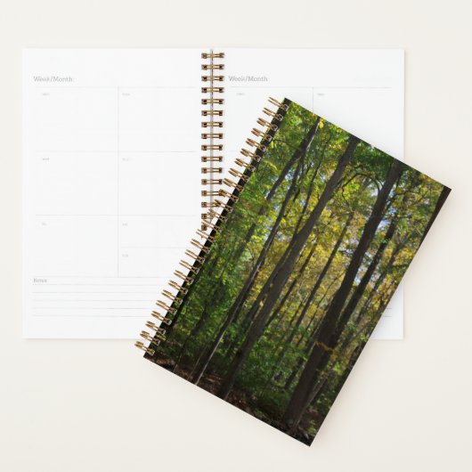Bos Scène Planner (Display)