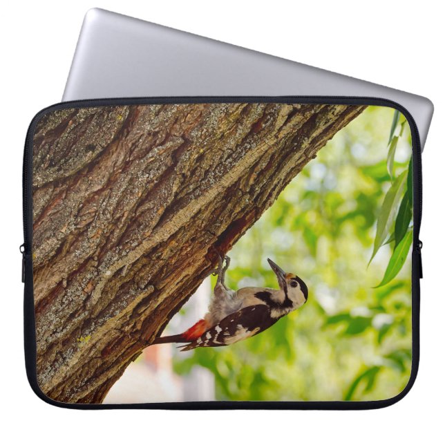 Bos Specht Natuur Foto Laptop Sleeve (Voorkant)