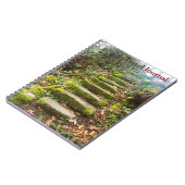 bos trap notitieboek (Linkerzijde)