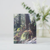 bos-"troll" in de sneeuw #2 briefkaart (Staand voorkant)