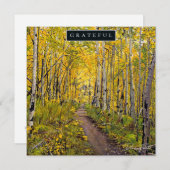 Bos van Aspen Trees Feestdagenkaart (Voorkant / Achterkant)