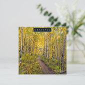 Bos van Aspen Trees Feestdagenkaart (Staand voorkant)