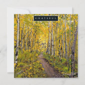 Bos van Aspen Trees Feestdagenkaart (Voorkant)