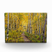 Bos van Aspen Trees Fotoblokken (Voorkant)