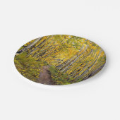 Bos van Aspen Trees Papieren Bordje (Gekanteld)