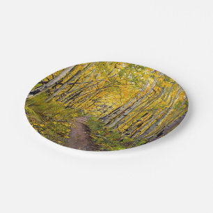 Bos van Aspen Trees Papieren Bordje