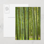 Bos van bamboe bomen in bos, Arashiyama Briefkaart (Voorkant / Achterkant)