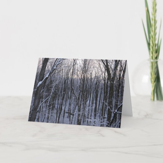 Bos van Besneeuwde Bomen Kaart (Voorkant)