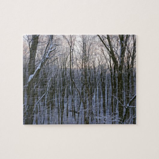 Bos van Besneeuwde Bomen Legpuzzel (Horizontaal)