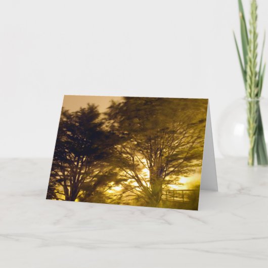 bos van de woede kaart (Voorkant)