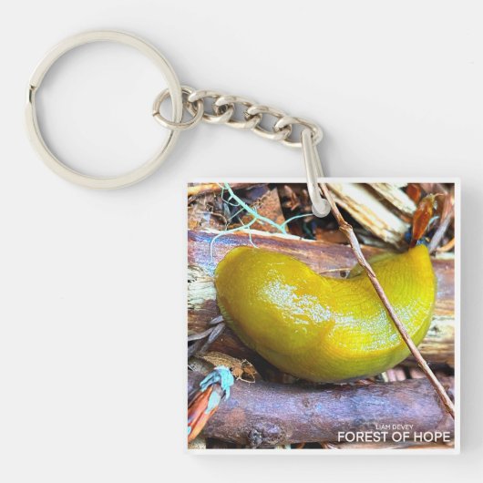 Bos van hoop sleutelhanger (voorkant)