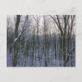 Bos van Snowy Trees Briefkaart (Voorkant)