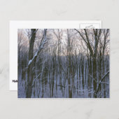 Bos van Snowy Trees Briefkaart (Voorkant / Achterkant)