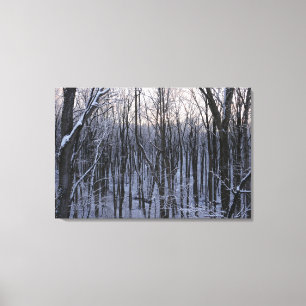 Bos van Snowy Trees Canvas Afdruk
