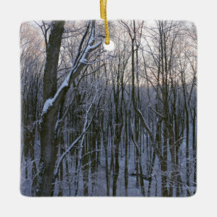 Bos van Snowy Trees Keramisch Ornament