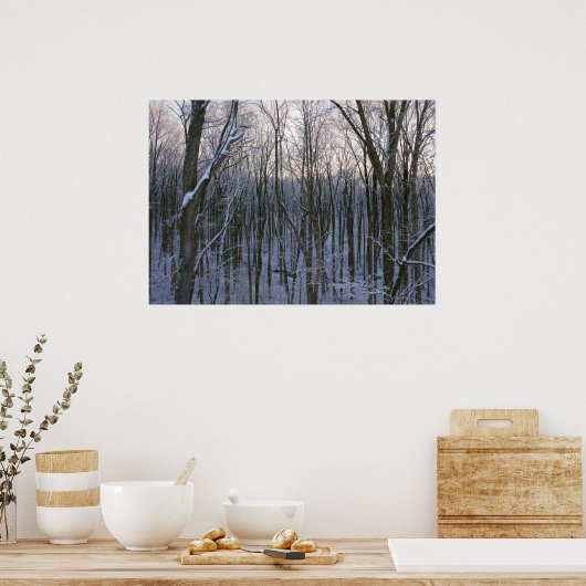 Bos van Snowy Trees Poster (Keuken)