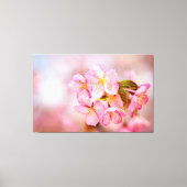 Bos verse roze Sakura-bloemen op roze Canvas Afdruk (Voorkant)