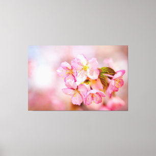 Bos verse roze Sakura-bloemen op roze Canvas Afdruk