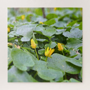 Bos Wilde Bloemen – Botanische Natuurfotografie Legpuzzel