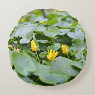 Bos Wilde Bloemen – Botanische Natuurfotografie Rond Kussen